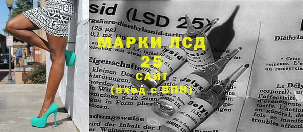 ешки Пересвет