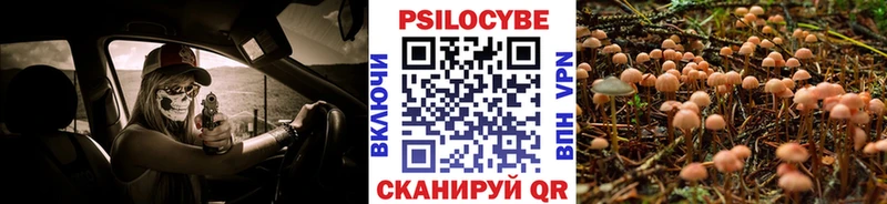 Галлюциногенные грибы Psilocybine cubensis  МЕГА маркетплейс  Аша  закладки 